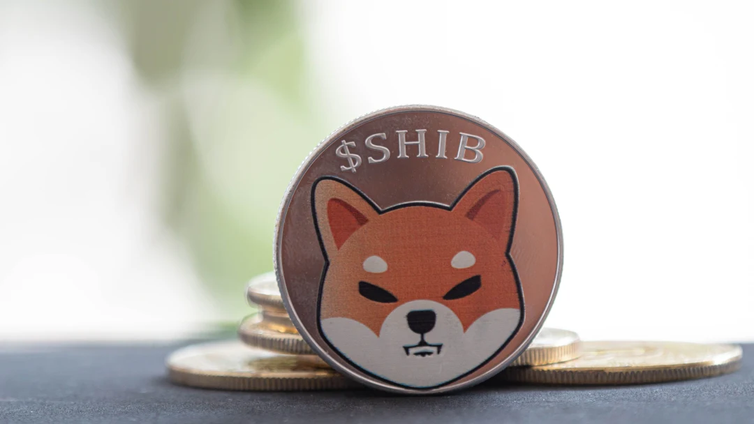 Expert Outlines Key Requirements for SHIB ETF U.S. Launch