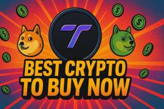 Best Crypto to Buy Now: Tapzi Outshines as Jiuzi Commits $1B and DOGE Whales Load Up