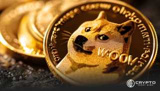 Dogecoin Builds Base Despite Market Volatility