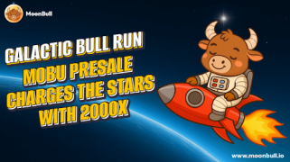 Floki Price Prediction: $0.00021 by 2025? MoonBull Presale Offers 24,540% ROI and Becomes the New Meme Coin to Watch