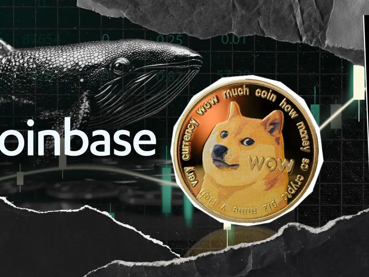 'Uptober' Prep in Full Swing: 196,799,056 DOGE Moved Amid Rising Whale Activity