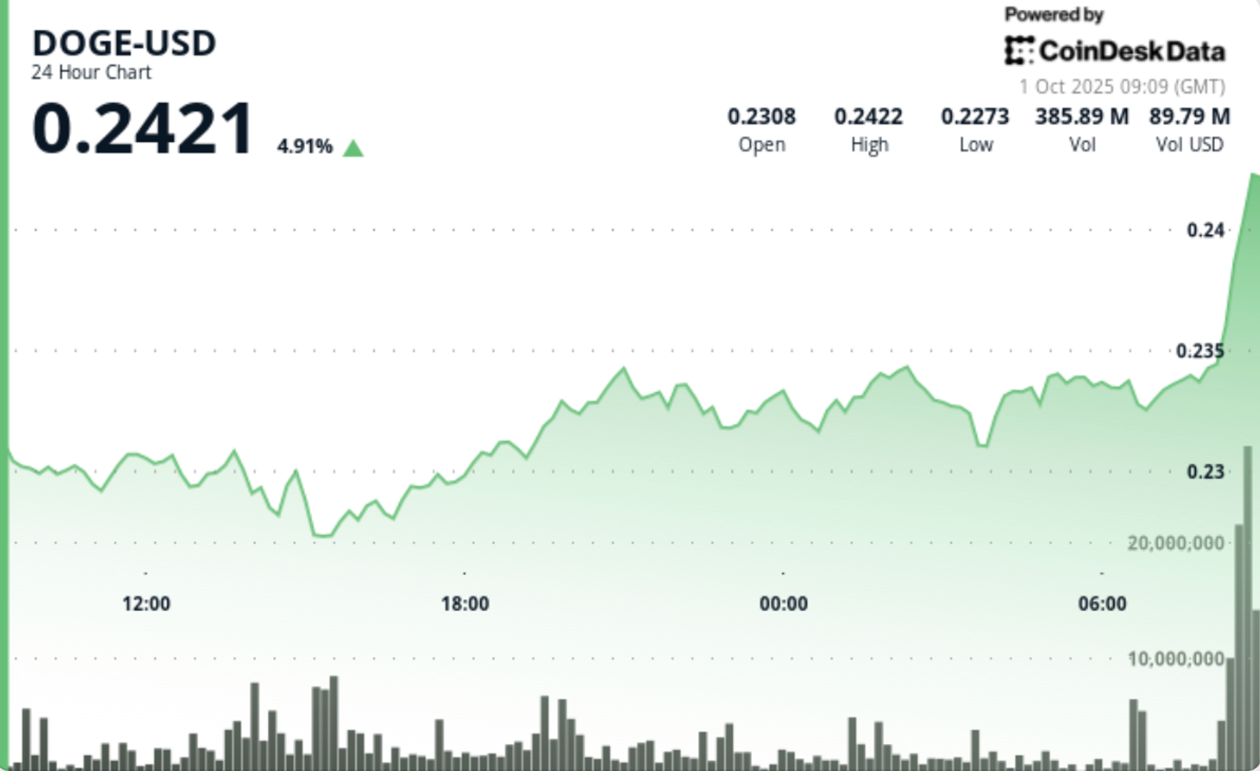 What Next as Dogecoin (DOGE) Zooms 6% on Bitcoin Strength