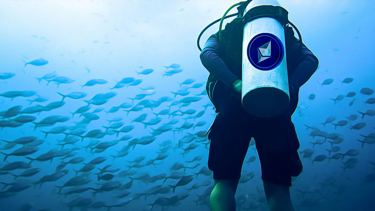 Bitcoin’s Surge Captivates Crypto Enthusiasts