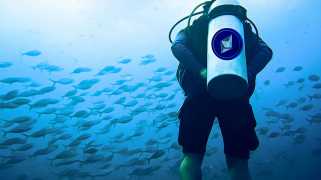 Bitcoin’s Surge Captivates Crypto Enthusiasts