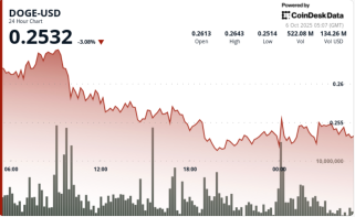Dogecoin Holds $0.25 Support as Whales Add 30M DOGE Amid 'Ascending Triangle' Pattern
