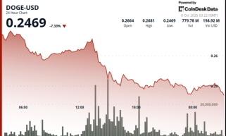 Dogecoin Plunges 8% Before Whale Buying Stabilizes at DOGE Prices $0.25