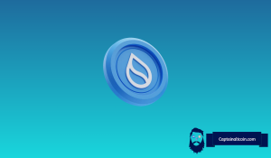 What’s Next for Sui Price After the Latest Crypto Market Collapse?