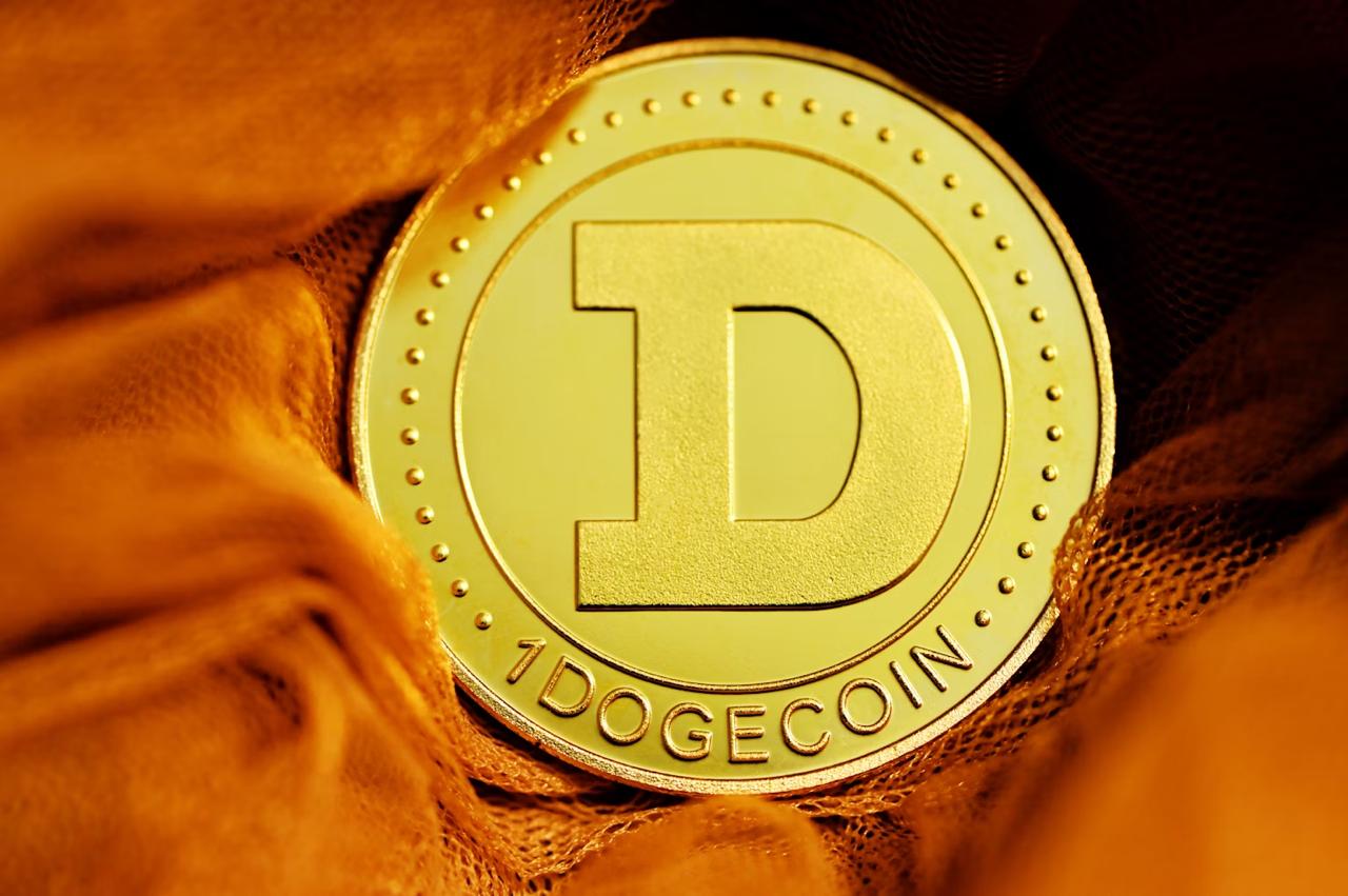 Dogecoin Accumulation Grows as Holders Prepare for Potential Upside