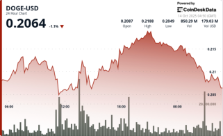 DOGE Faces Rejection at $0.22 as Dogecoin Treasury Firm Eyes Public Listing