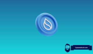 What’s Next for Sui Price After the Latest Crypto Market Collapse?