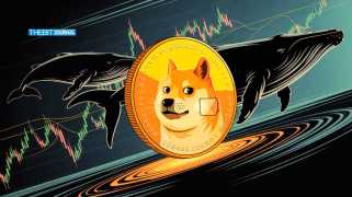 Dogecoin Whale Activity and Price Forecast: Why a Major Rally Could Be Near