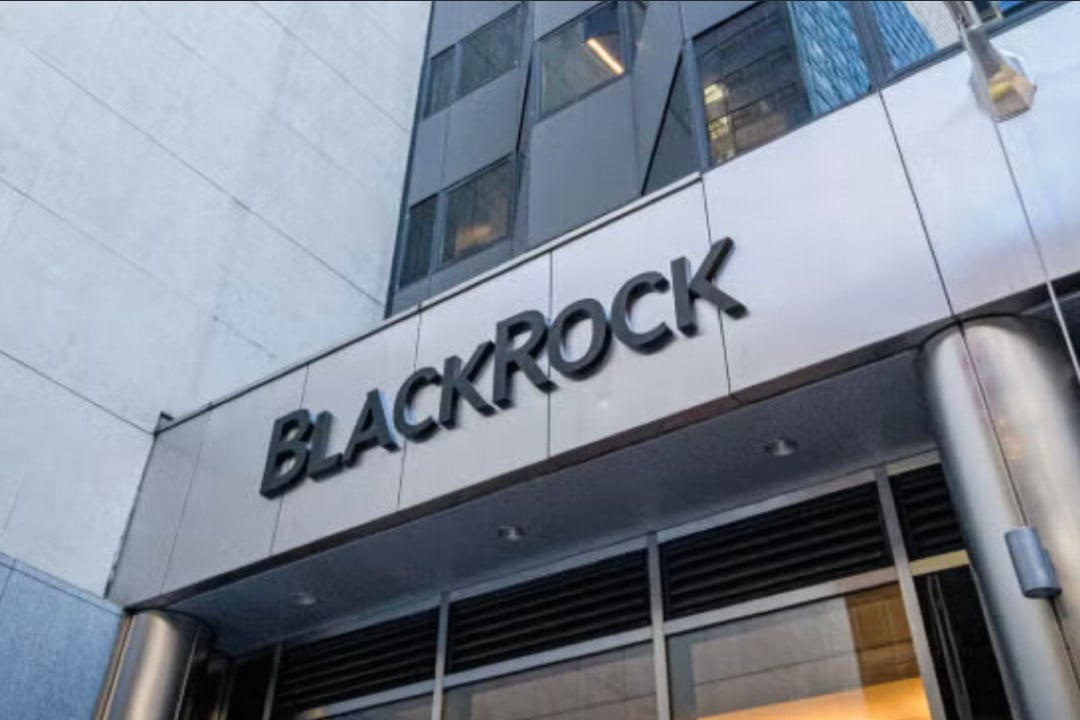 Daily Market Wrap | Oct. 14