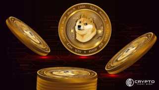 Dogecoin Price Poised for Parabolic Run After Holding Long-Term Support