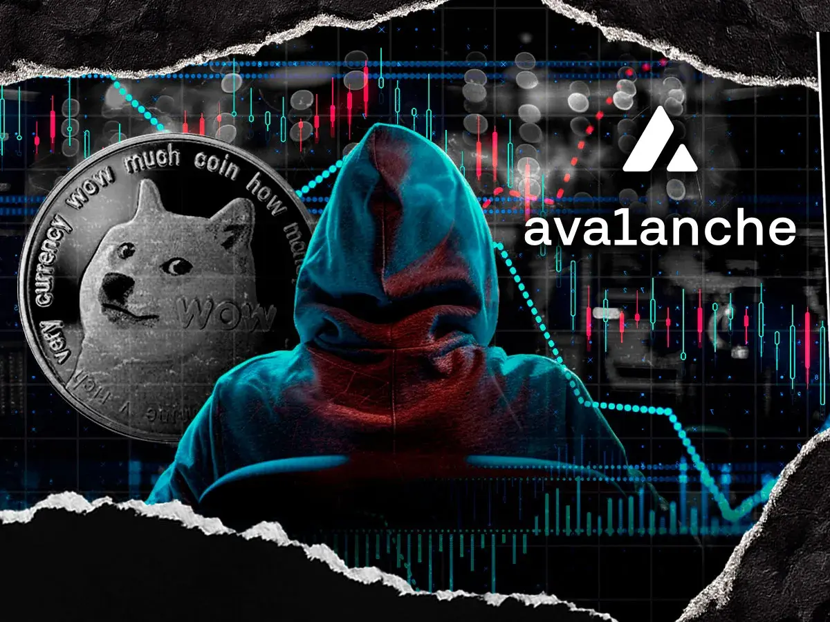 Dogecoin Founder Sounds Unusual Alarm on Avalanche