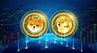 DOGE and SHIB Could Rally to Big Heights – but Digitap's Real-World Utility May Outshine Them Both