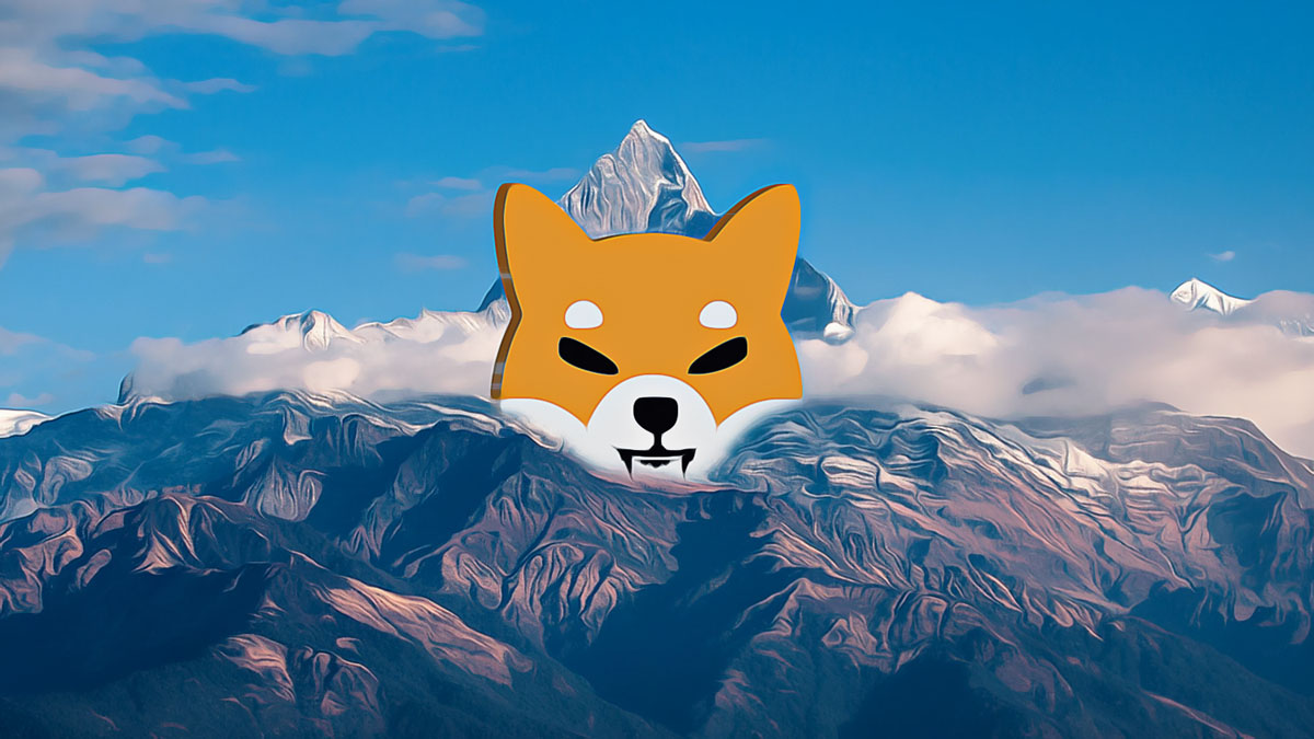 Shiba Inu’s Weekend Rally: What Lies Ahead?