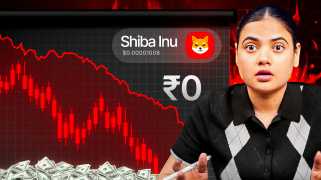 The Truth About Shiba Inu: Why Burns & Growth Haven’t Lifted the Price