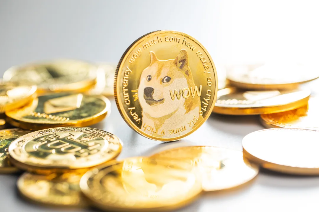 DOGE Falls Below Key Fibonacci Level — Is This Dogecoin's Best Buy Zone in Years?