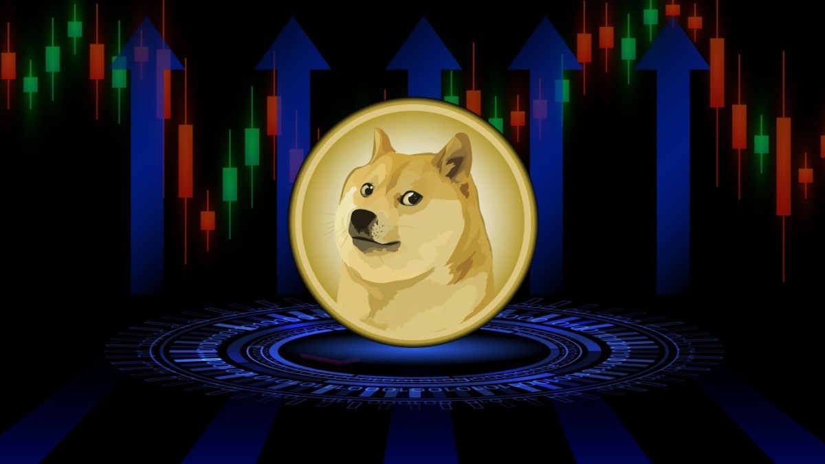 Dogecoin의 난폭한 행보: 가격 하락, 회복 희망, 그리고 다음은 무엇입니까?
