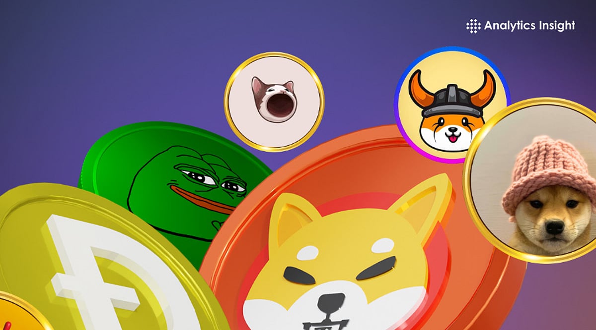 2025 年 Memecoin 市值：繁荣还是萧条？