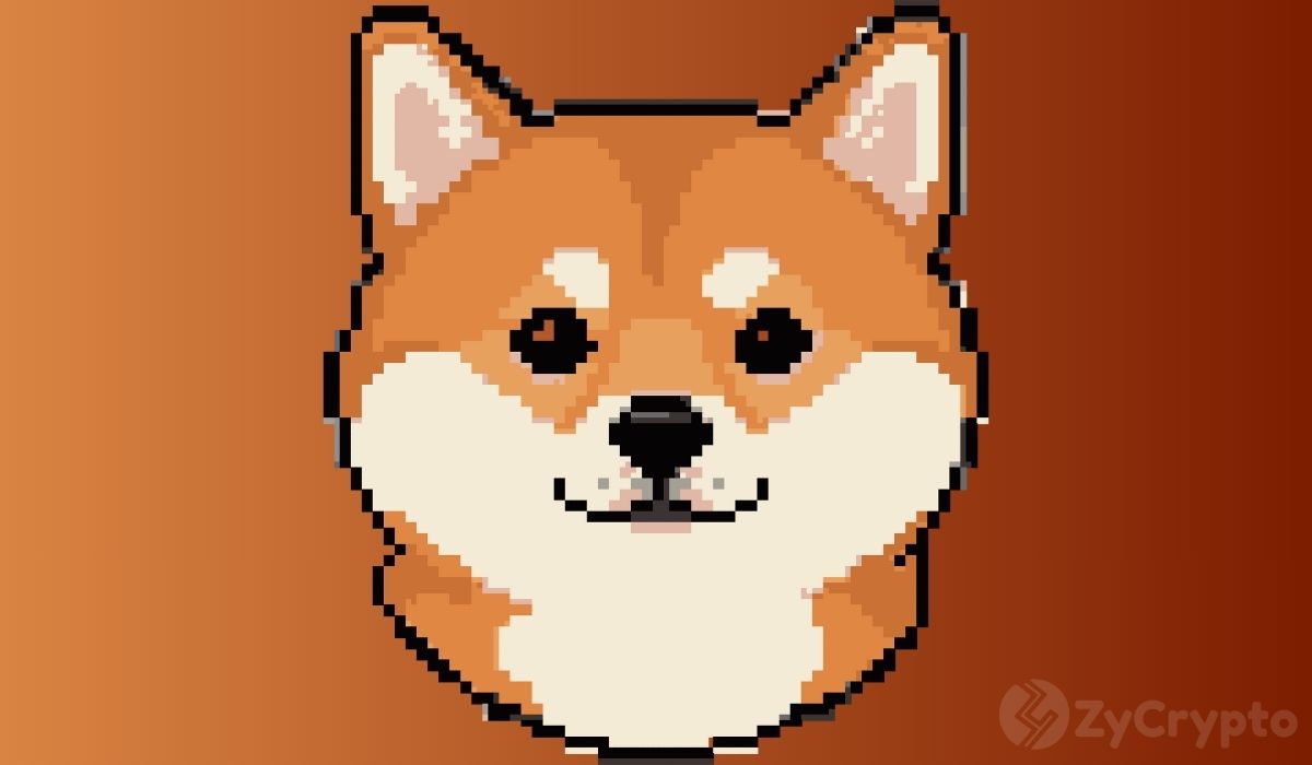 狗狗币 ETF 令人失望吗？ DOGE 社区表示，没那么快