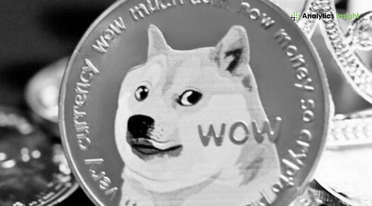 狗狗币：应对模因币炒作和投资风险