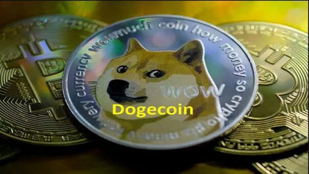 狗狗币 (DOGE) 价格更新：在波动的市场中应对 PKR 兑美元