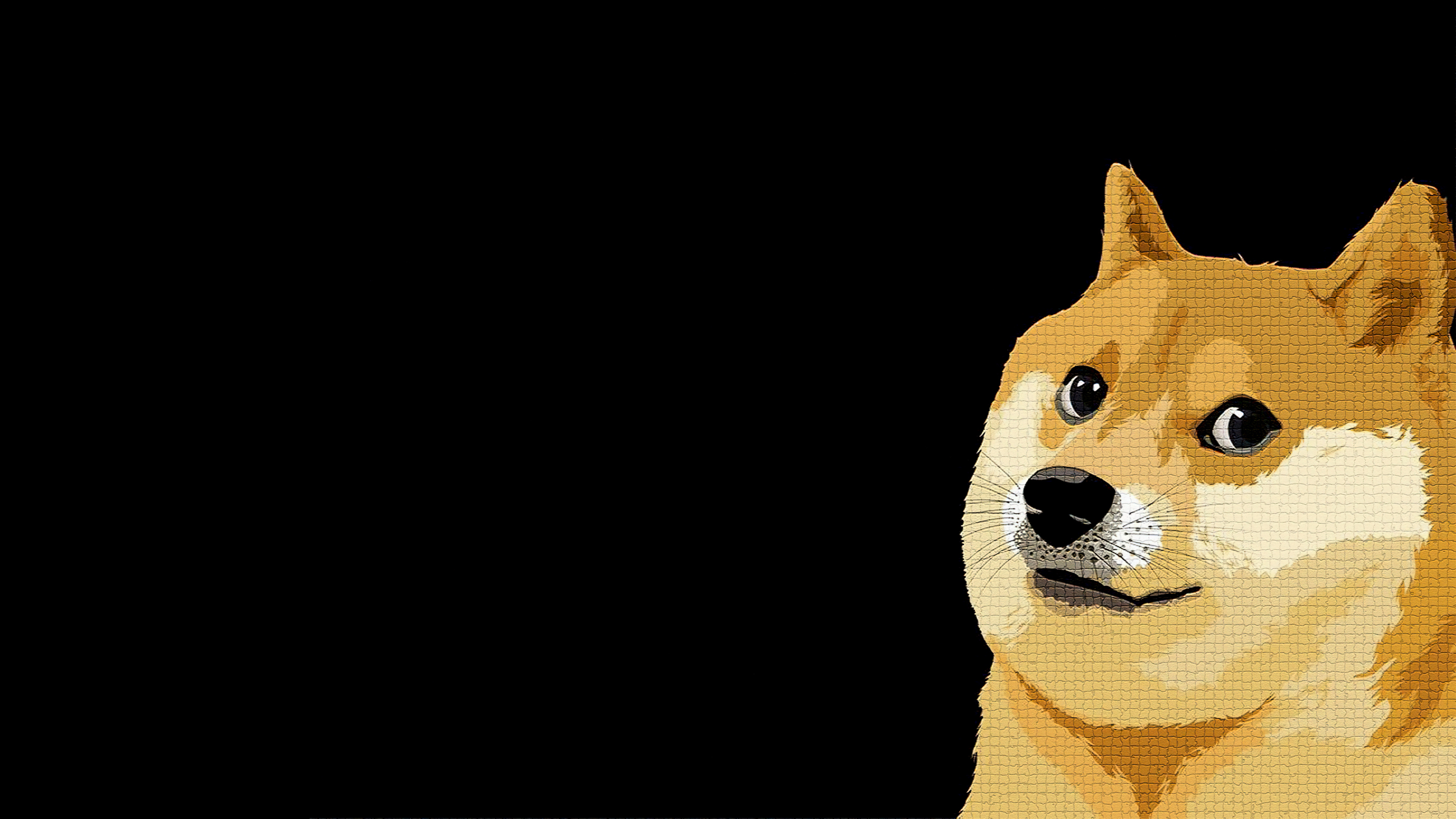 Bitwise、Dogecoin 和 ETF 申请狂潮：Woof Woof？