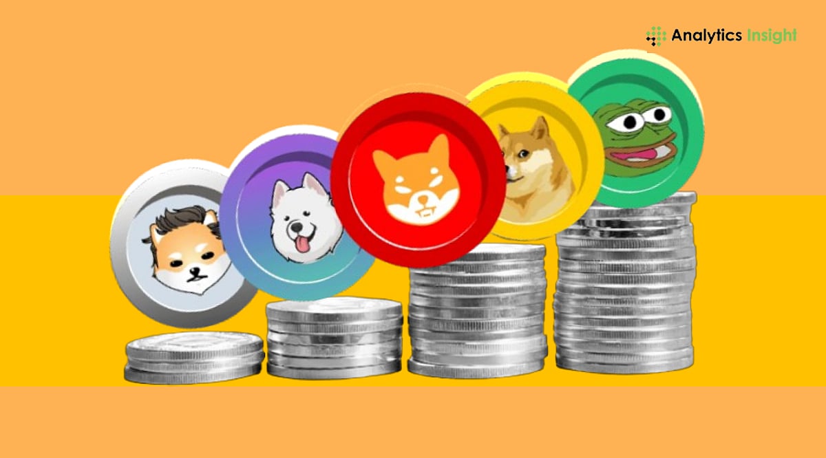 Meme Coin 狂热：炒作能否维持未来增长？