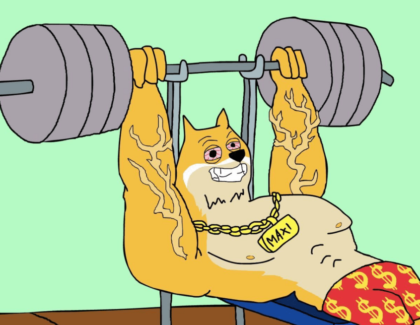 Maxi Doge 预售：Meme 硬币狂热仍在继续？