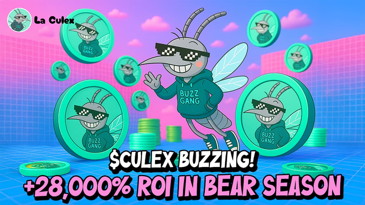 Meme 币预售：在炒作海洋中寻找投资回报潜力