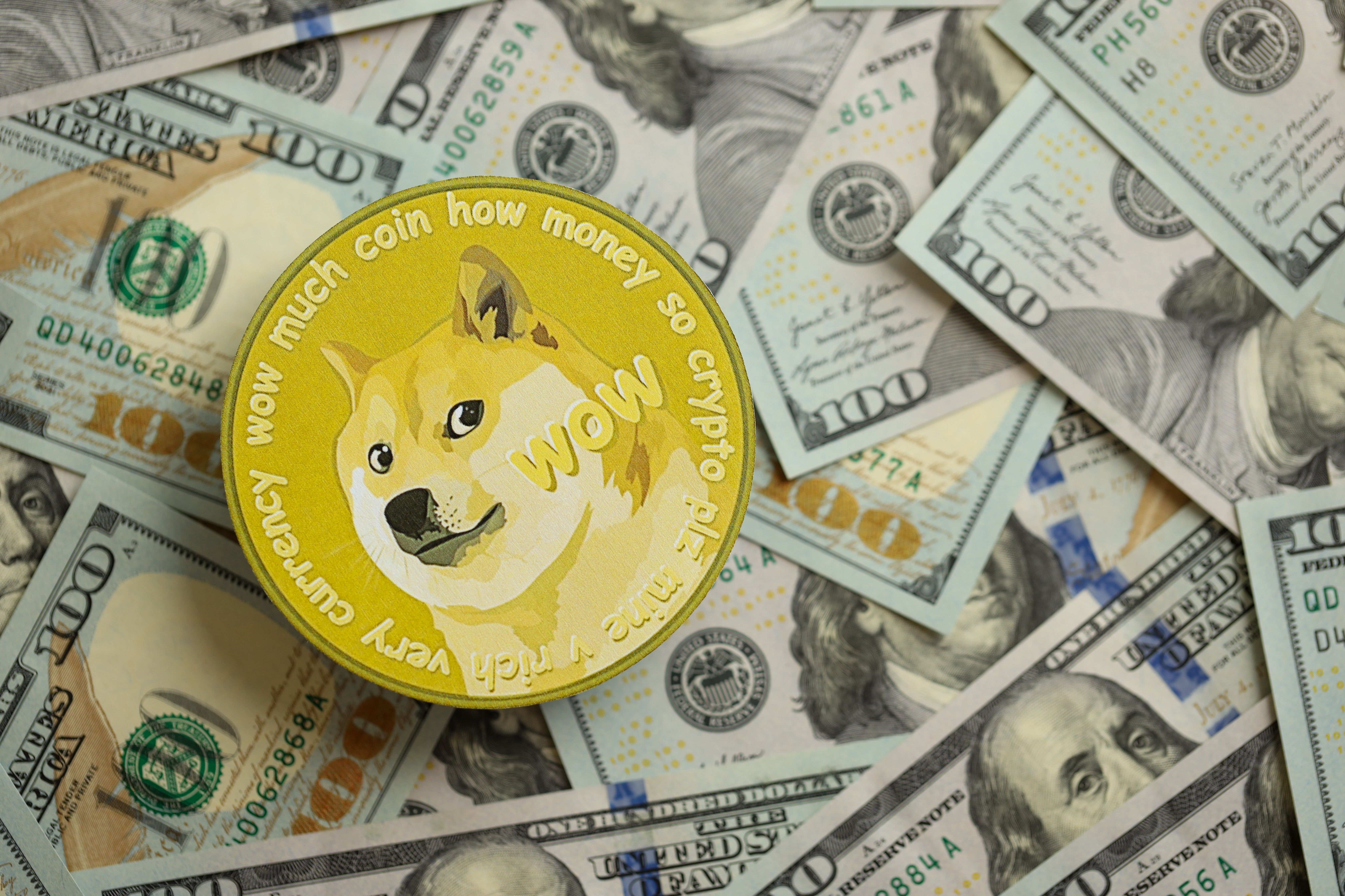 Dogecoin Plunge: Whales Sell Off, What's Next for DOGE?