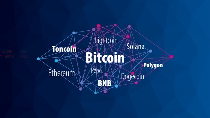 狗狗币：逢低买入？纽约人对 Meme 硬币的看法