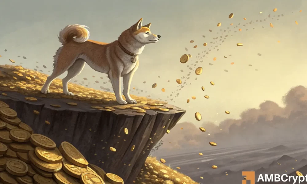 Dogecoin\s Price Drop: What\s Going On and Is There Hope?