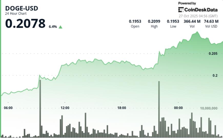 狗狗币的决定性时刻：阻力、支撑和未来的道路