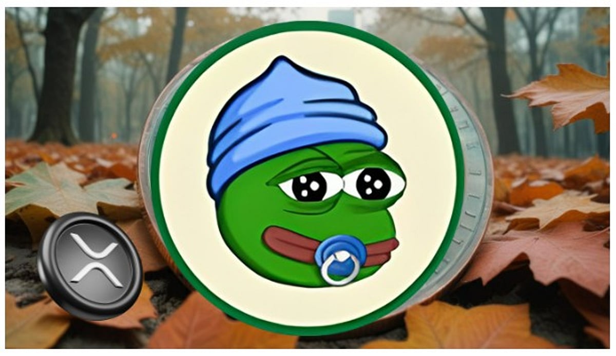 Meme 币、狗狗币和收益：炒作是什么？