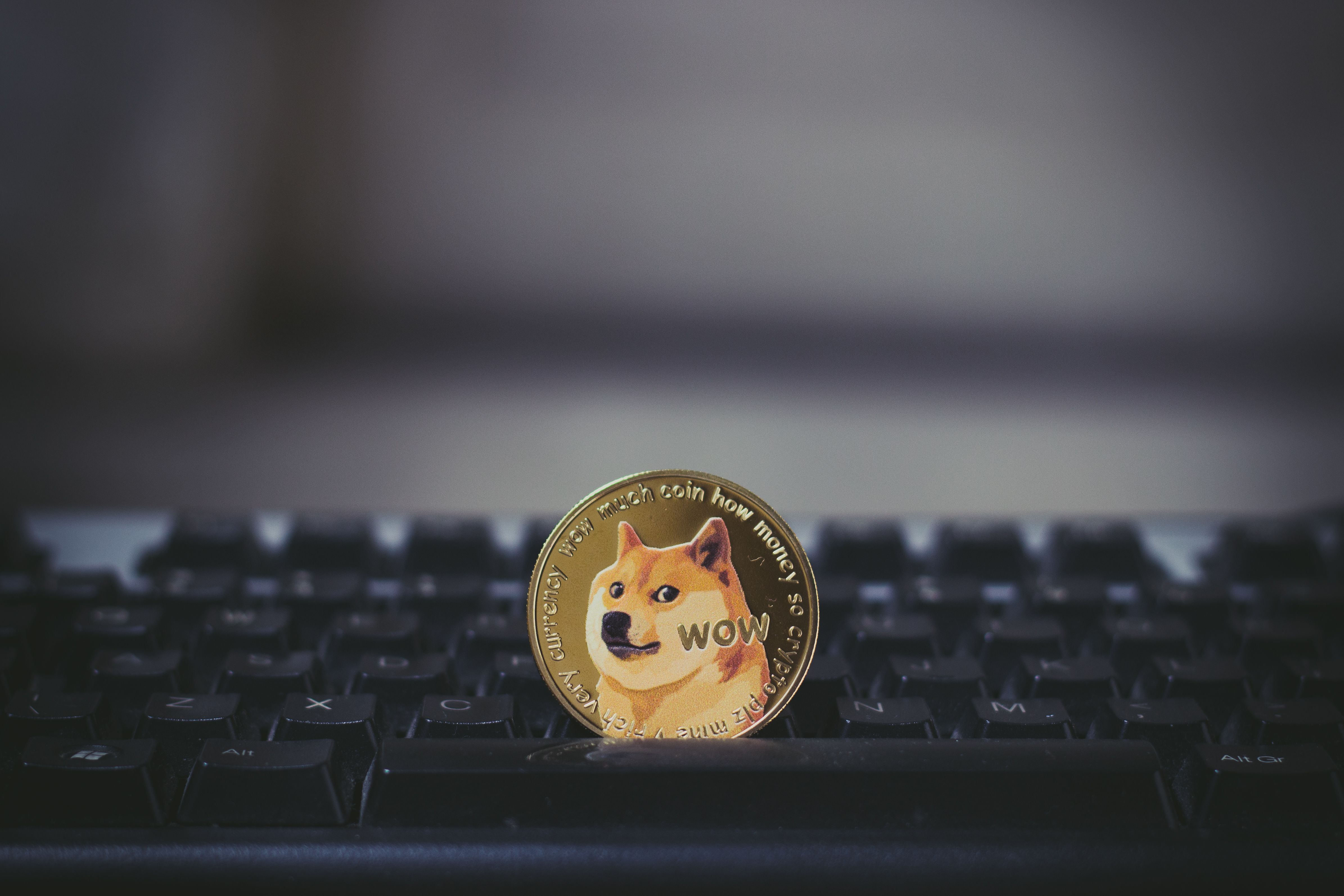 Dogecoin의 크래시 코스: 최악의 시나리오와 예상치 못한 ETF 왜곡