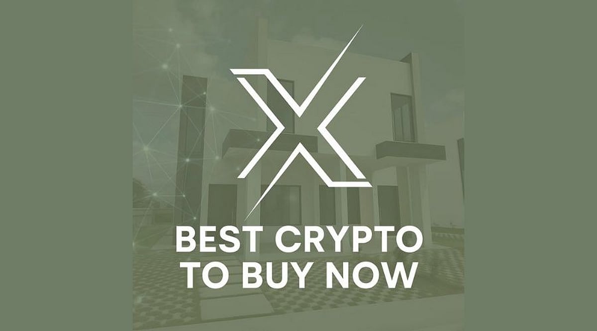 Avalon X、ROI 和狗狗币：引领 2025 年加密货币格局