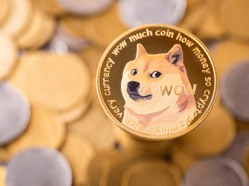 DOGE 的下跌：Meme 硬币在市场不安和效用怀疑中挣扎