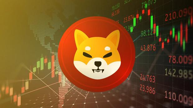 解码加密货币趋势：分析 SHIB、BNB、马斯克的比特币立场等！