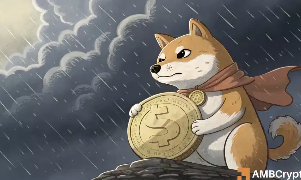 Dogecoin, LTHs, and Conviction: Are Doge Holders Still HODLing?