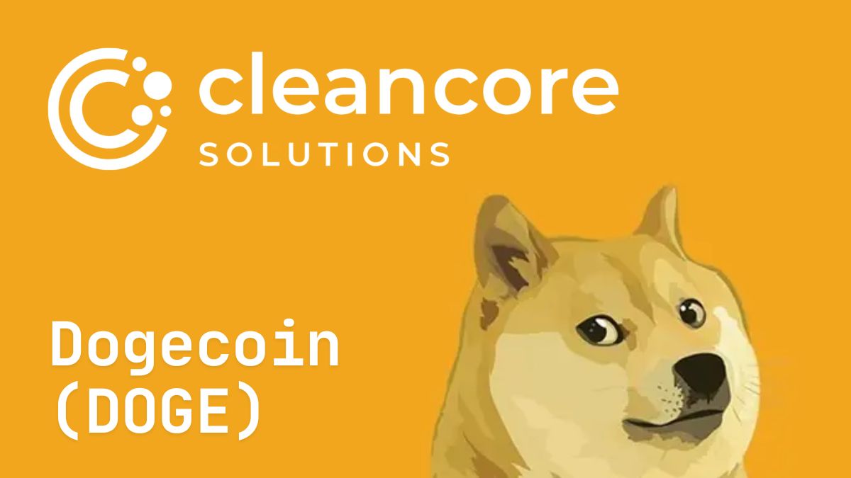 CleanCore の Dogecoin Treasury: 企業暗号通貨に関するニューヨーク市の視点