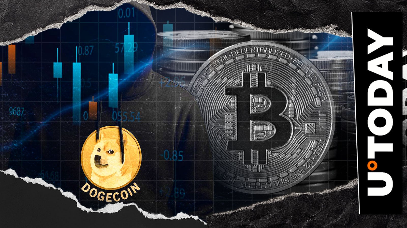 Dogecoin, Bitcoin und Memes: Die wilde Fahrt eines New Yorkers gegen Crypto