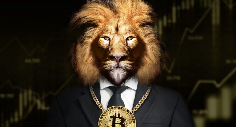 Bitcoin vs. Memecoins: Wird Dogecoin jemals aufholen?