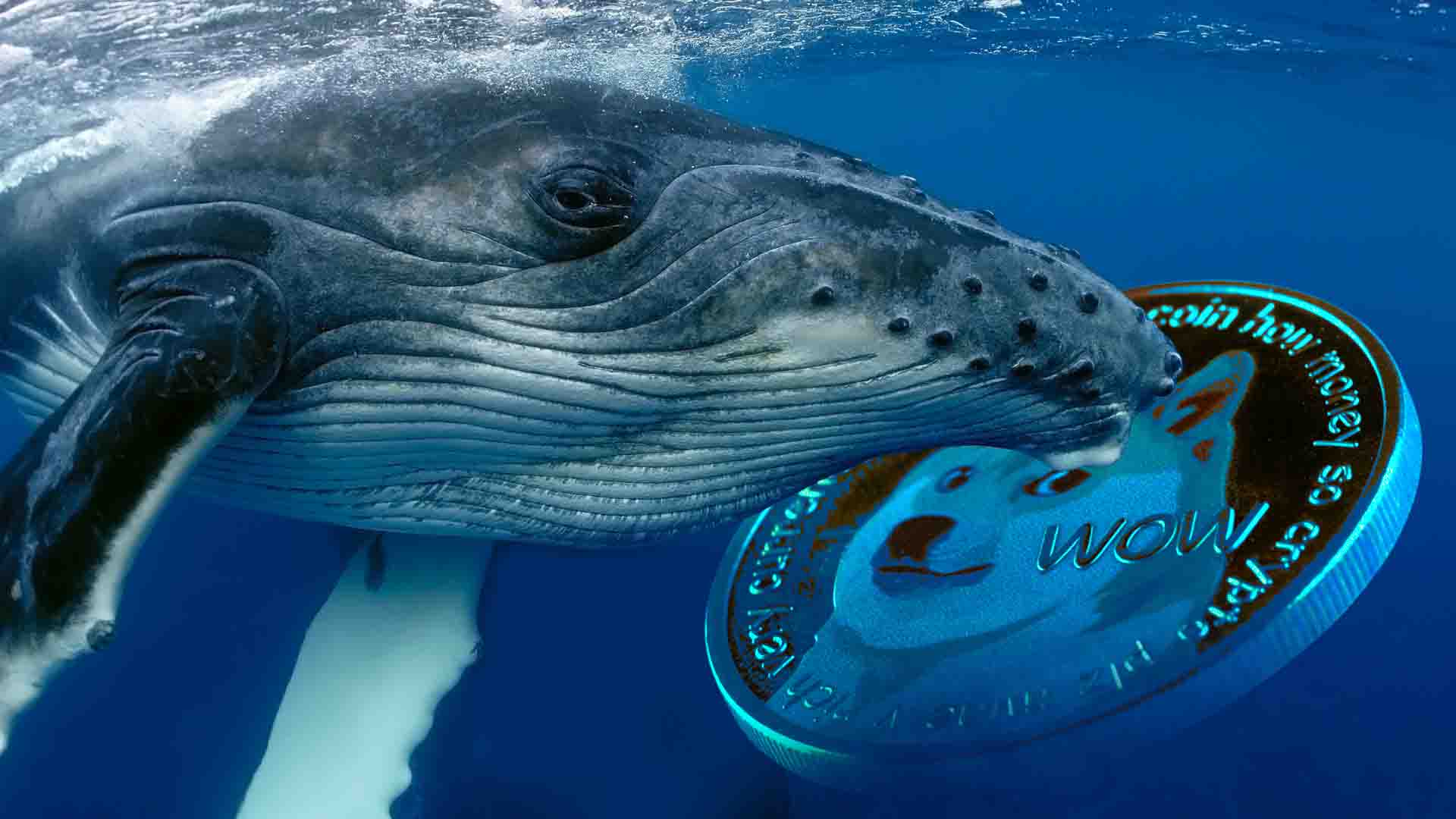 Dogecoinの価格予測：トップミームコインは新たな高みに達しますか？