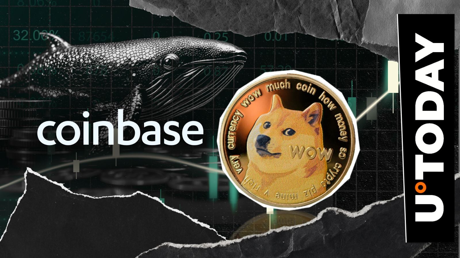 DOGE Whale Activity & Uptober Prep: What's the Deal?