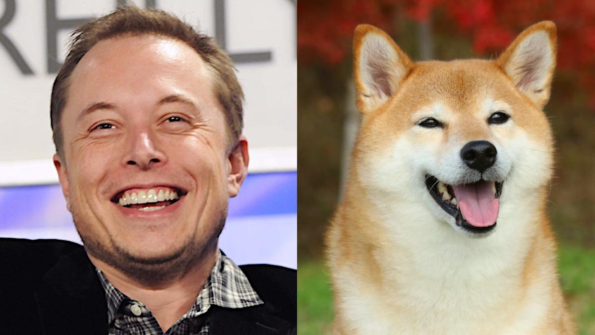 Elon Musk、Dogecoin、Dogefather：2025アップデート