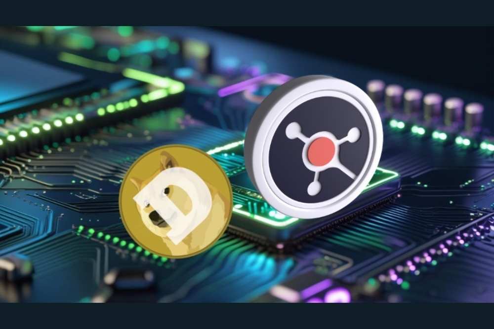 Dogecoin，Ruvi AI和分析師集會：聰明的錢在做什麼？