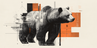 Dogecoin, Shiba Inu 및 Meme Coins : 약세 트렌드에서 예상치 못한 유틸리티에 이르기까지