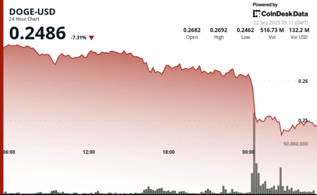 DOGE's Next Act: 1-2 Pattern and Breakout Watch
